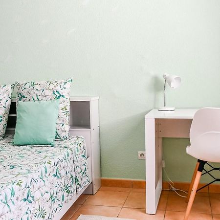 Charmant Appartement Aux Abymes Les Abymes Exterior photo